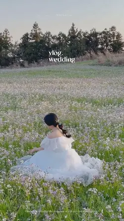 Couple / wedding