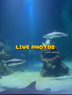 lives photo