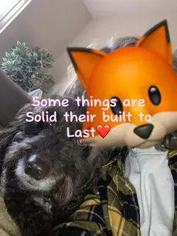 Rip