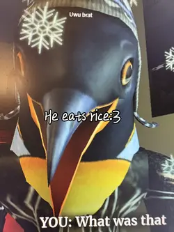 He eats rice 