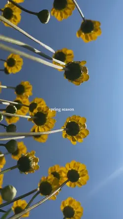 spring season