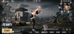 Pubg Template