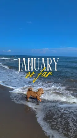 january so far