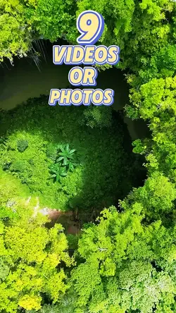 9 new template 2025 