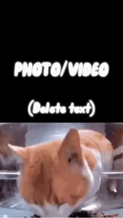 Wait a minute…