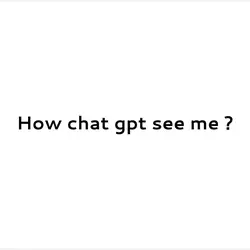 How chatgpt see me ?