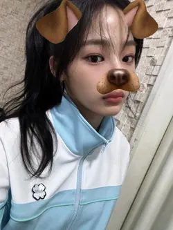 dog filter 