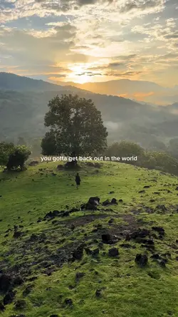 you gotta get back