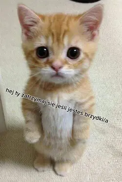 zjadłam tytuł 