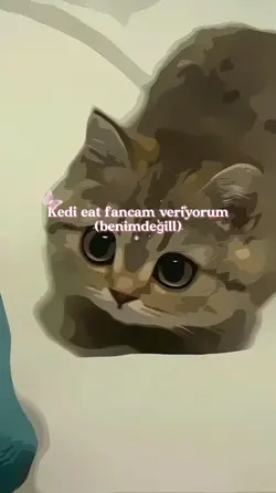 kedi eat fancamm