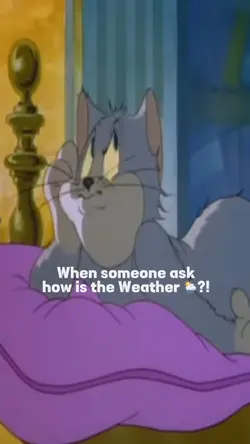 Weather forecast 