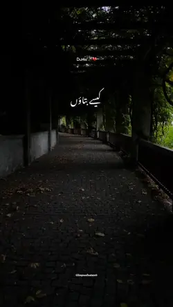 Sher - Ost