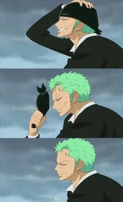 ZORO FS