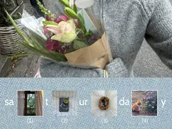 feed