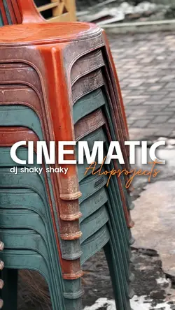 Dj shaky shaky