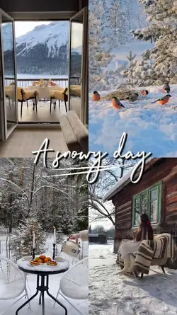 A Snowy Day