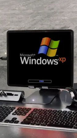 windows xp