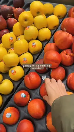 grocery shopping 