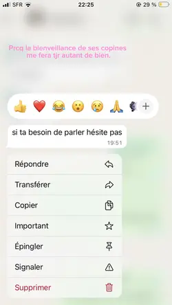 Ses copines