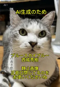 画像のみ使用可