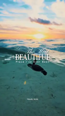 The Most Beautiful