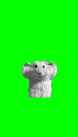 Swole Hamster meme