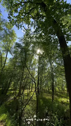 Good Morning 