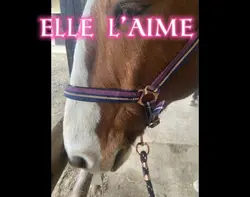 Elle l’aime 