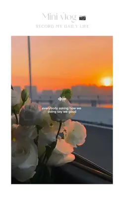 mini vlog