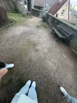 Bsf