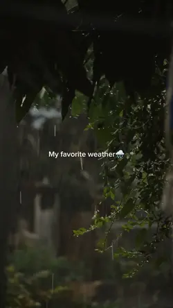 rain