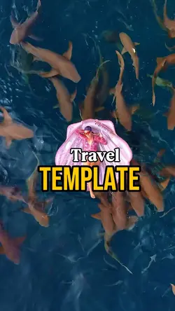 16 Clips Template