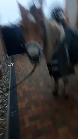 ......?