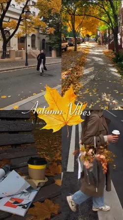 Autumn vibes
