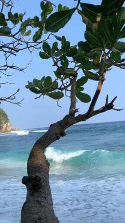 Traveling Vlog 
