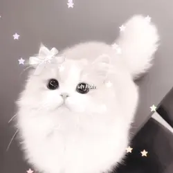 I’m not cute anymore