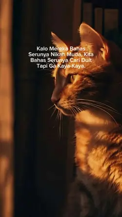 bahan sw