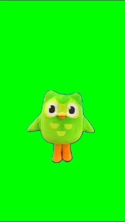 Duolingo Meme 