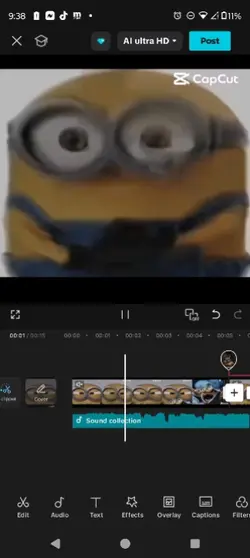 King Bob edit