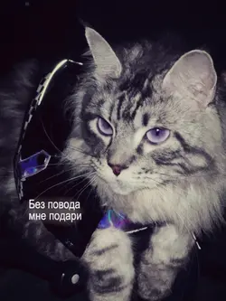 MẪU LYRICS STORY MÀU