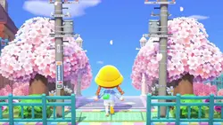 Animal Crossing