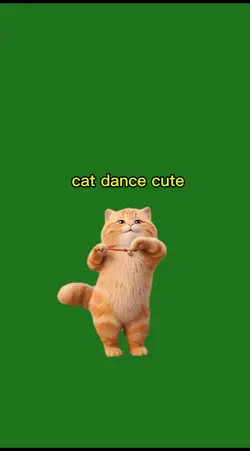 cat stile