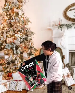 Lynx on Christmas