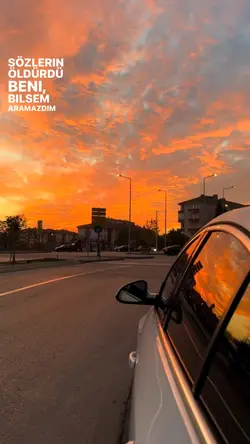 poizi 
