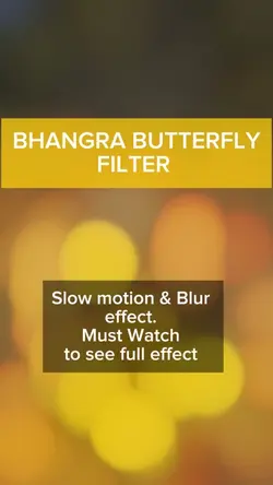 Butterfly Spin 