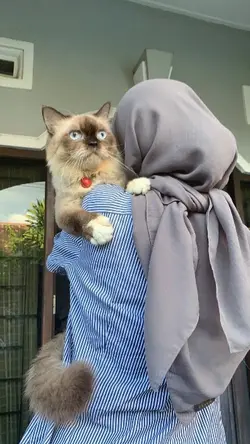 aesthetic