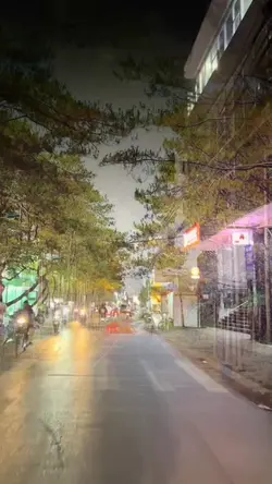 Thu Trần 0381