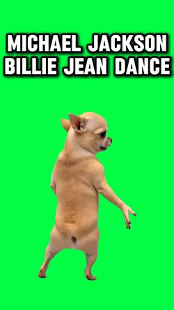 MICHAEL JACKSON DOG