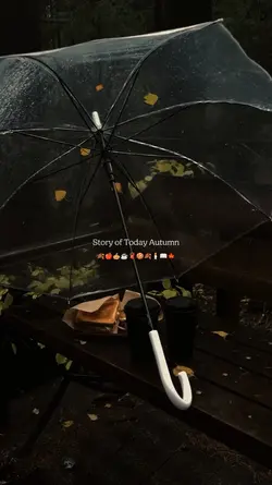 Story Today Autumn