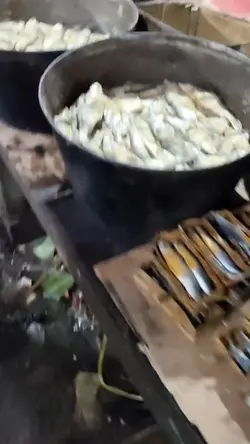 1 video core aja